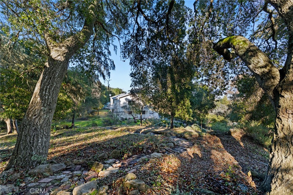 8255 Balboa Road Atascadero, CA 93422 - Photo 71 of 72 a view of a tree in a yard