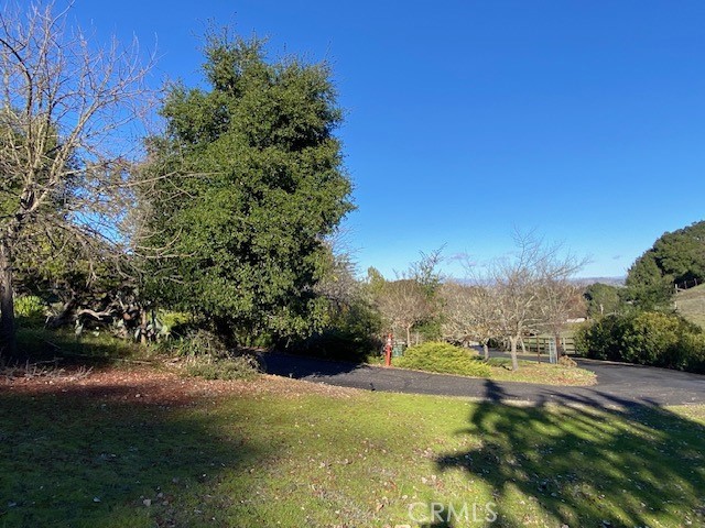 8255 Balboa Road Atascadero, CA 93422 - Photo 8 of 72 a view of a yard with a tree