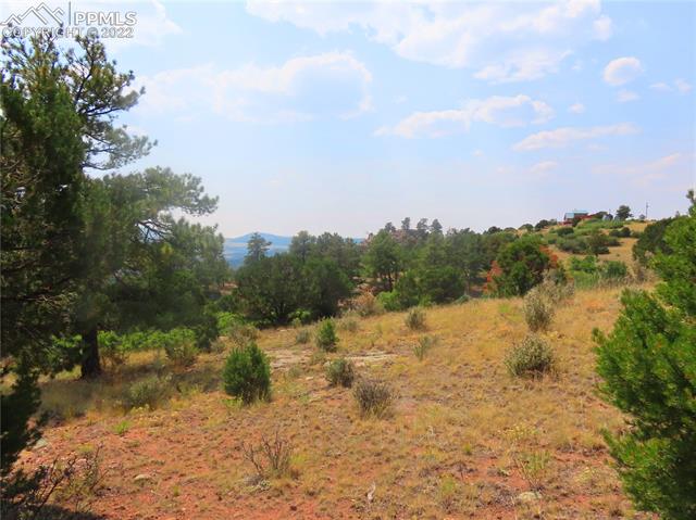 493 Cheyenne Road Florissant, CO 80816 - Photo 15 of 24 Gallery Image 15