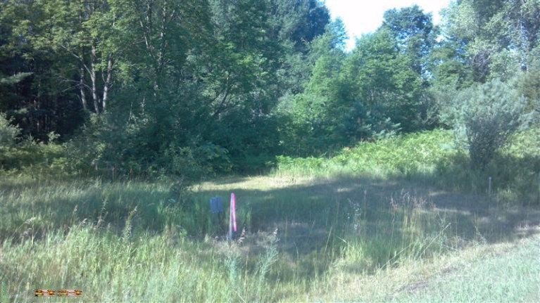 5700 13 Mile Road Remus, MI 49340 - Photo 1 of 6 Primary Photo