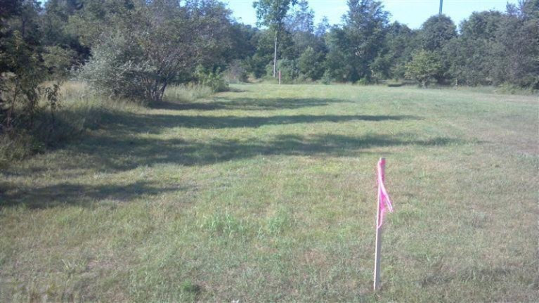5700 13 Mile Road Remus, MI 49340 - Photo 3 of 6 Additional Photo