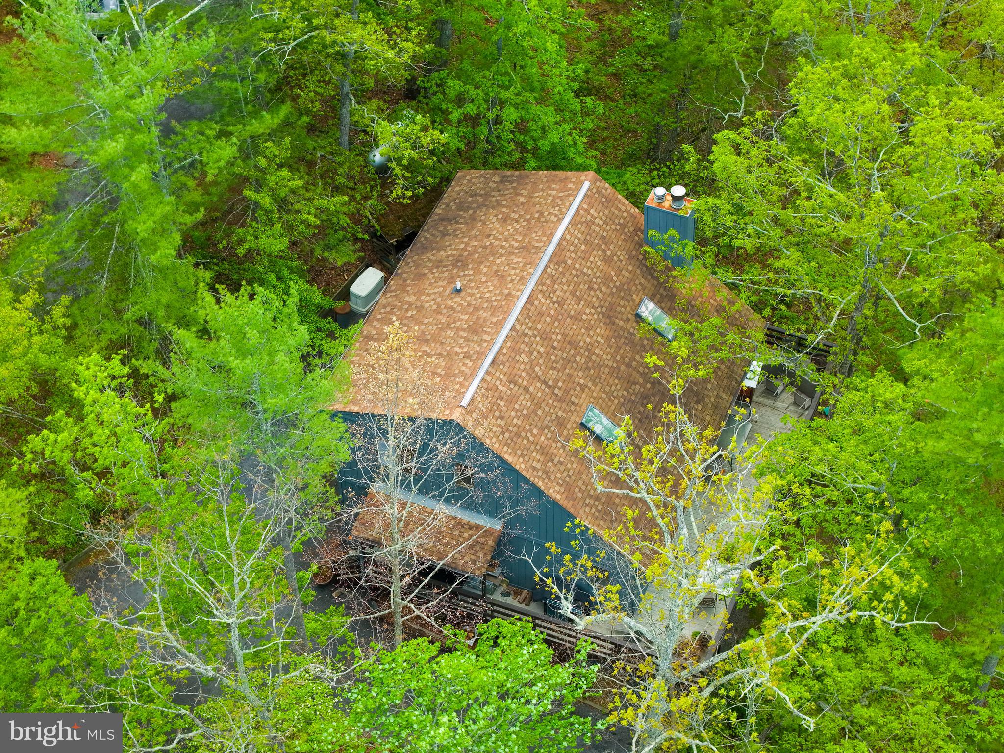 159 Richmon Road Basye, VA 22842 - Photo 26 of 41