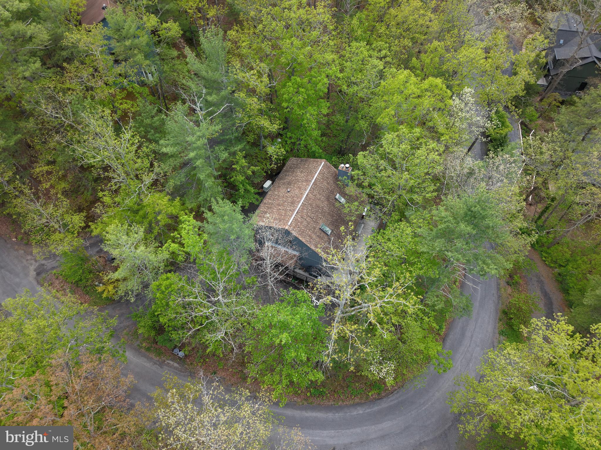 159 Richmon Road Basye, VA 22842 - Photo 28 of 41