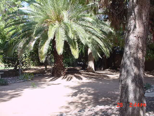 314 East Harvard Avenue Gilbert, AZ 85234 - Photo 3 of 8 3