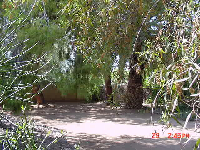 314 East Harvard Avenue Gilbert, AZ 85234 - Photo 4 of 8 4