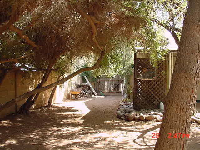 314 East Harvard Avenue Gilbert, AZ 85234 - Photo 7 of 8 7