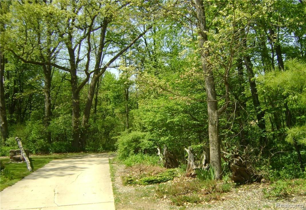 5590 Big Fish Lake Road Goodrich, MI 48438 - Photo 6 of 46 DSC03328.JPG