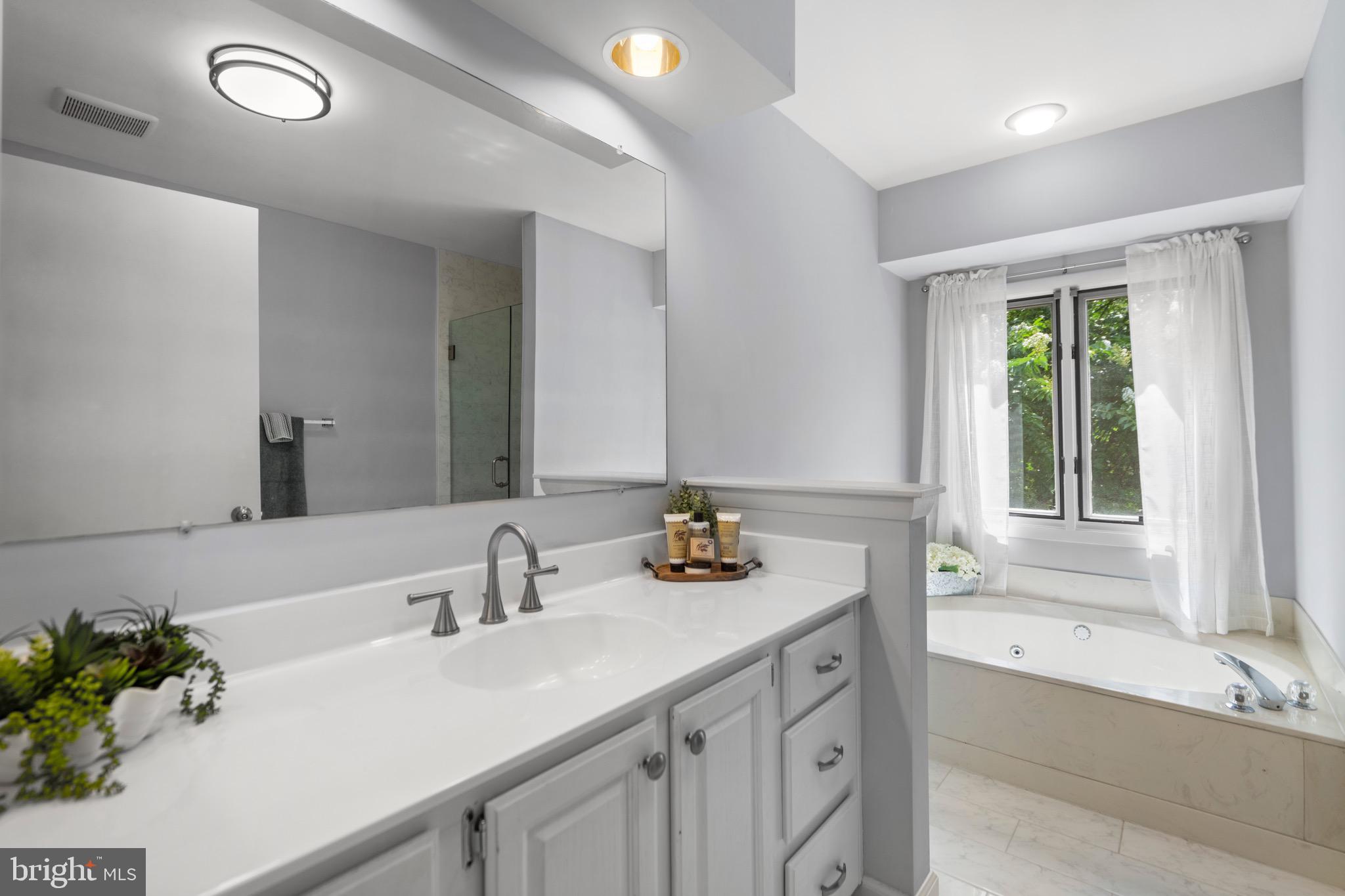 1281 Wedgewood Manor Way Reston, VA 20194 - Photo 34 of 56 Primary sink and jetted tub...