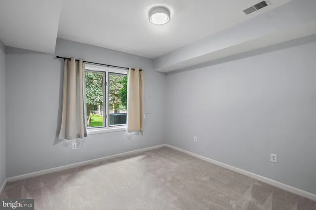 a view of a lush green forest