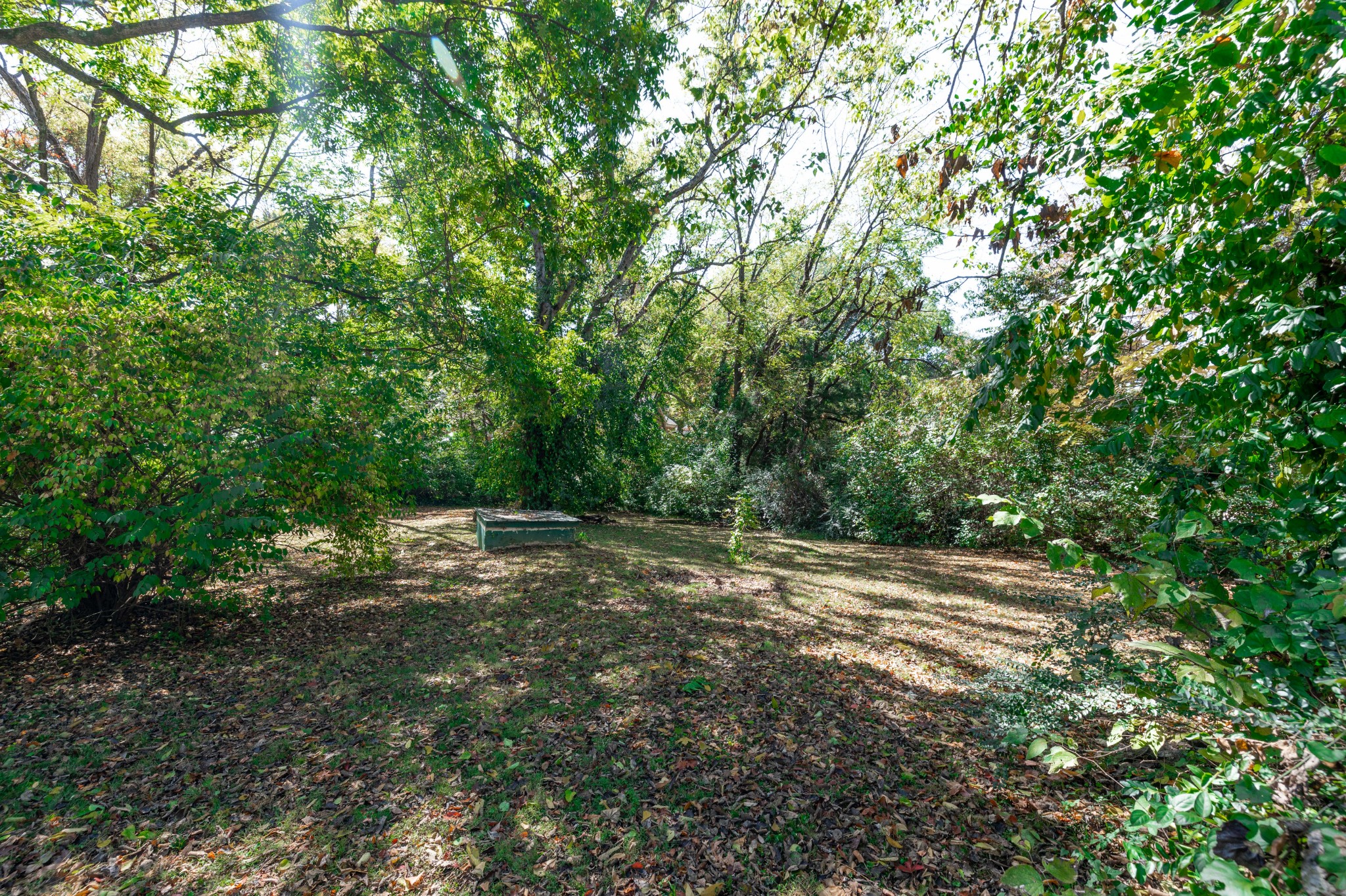 714 Murfreesboro Road Franklin, TN 37064 - Photo 28 of 46 a view of a yard with large trees