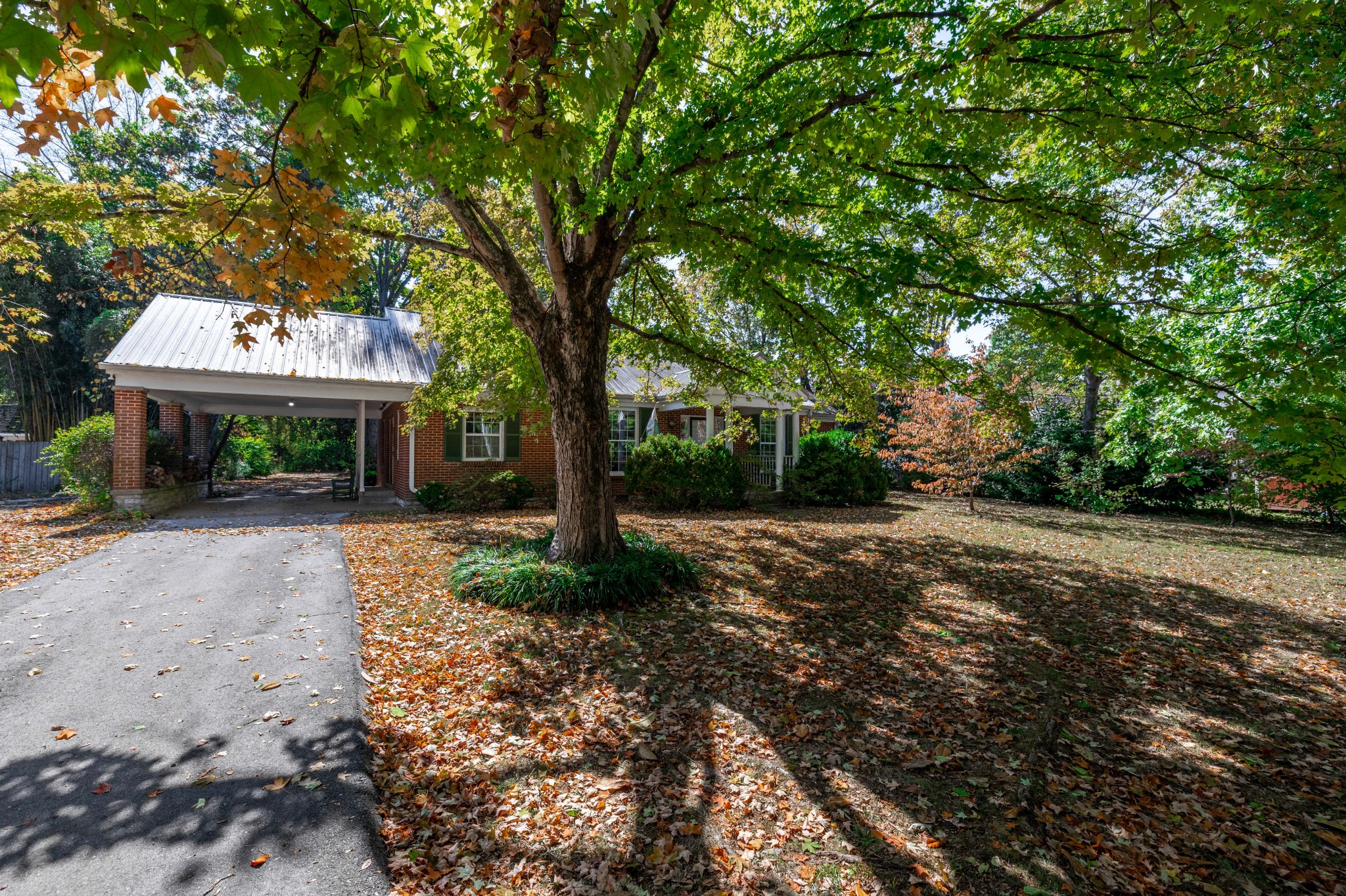 714 Murfreesboro Road Franklin, TN 37064 - Photo 34 of 46 a view of a patio with a tree