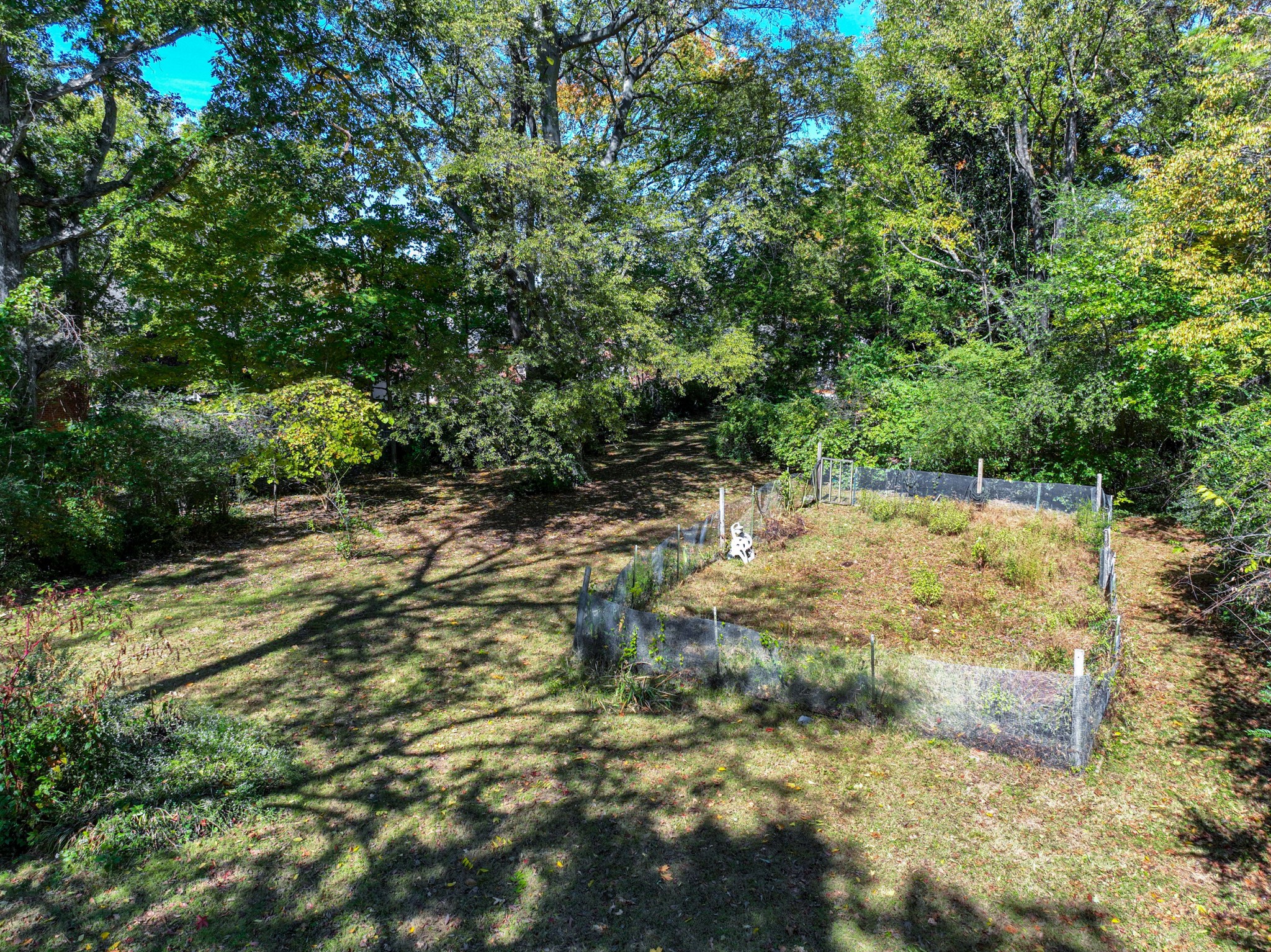 714 Murfreesboro Road Franklin, TN 37064 - Photo 43 of 46 a view of a yard with plants and tree