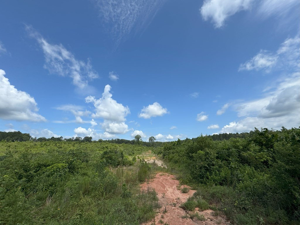 0 Hutson Morris Road Columbia, MS 39429 - Photo 6 of 14 Photo 6