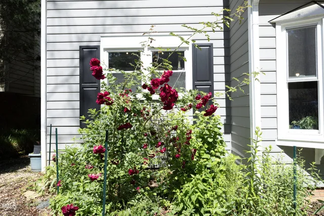a potted plant sitting in front of a house