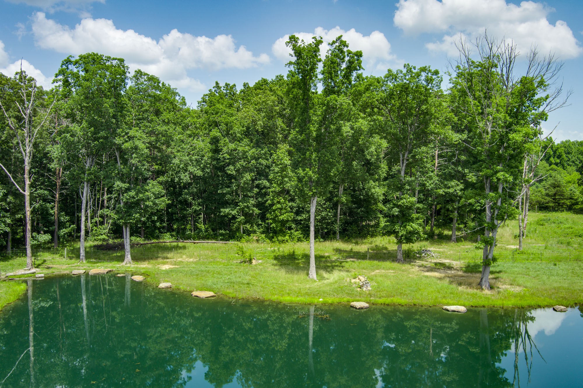 1130 Old Martha Washington Road Clarkrange, TN 38553 - Photo 37 of 41 Gallery Image 37