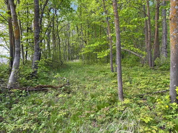 $335,000 | Tbd Tbd Tbd, Walker, MN 56484