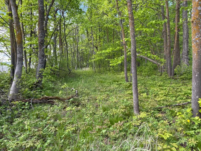 $335,000 | Tbd Tbd Tbd, Walker, MN 56484