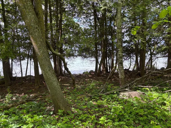 $335,000 | Tbd Tbd Tbd, Walker, MN 56484