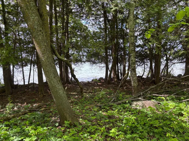 $335,000 | Tbd Tbd Tbd, Walker, MN 56484