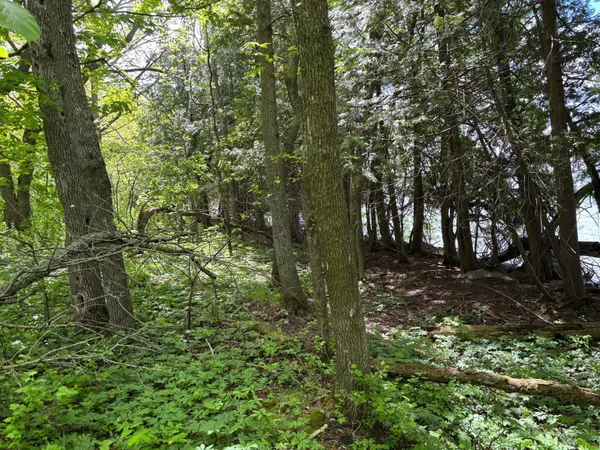 $335,000 | Tbd Tbd Tbd, Walker, MN 56484