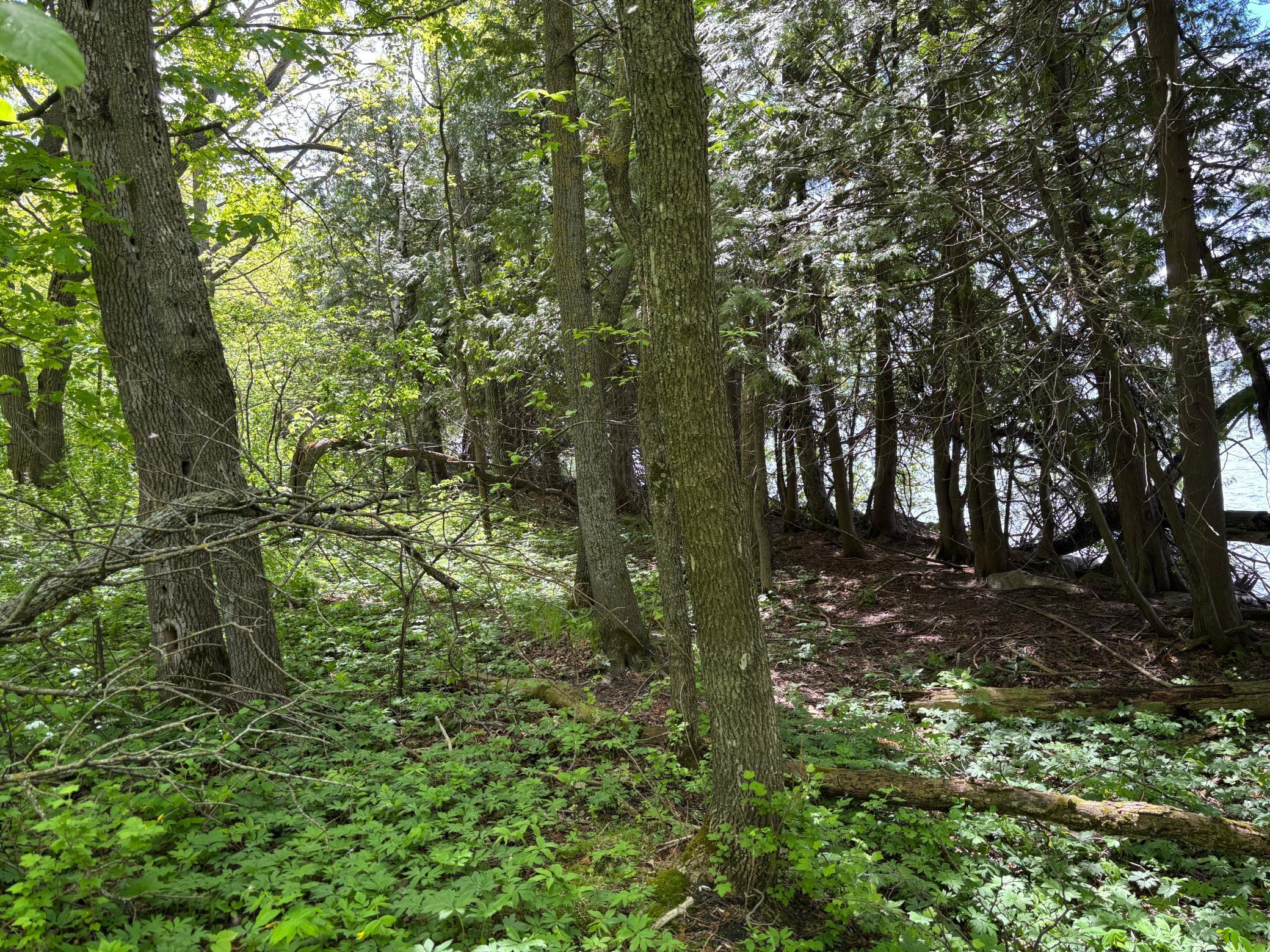 Tbd Tbd Tbd Walker, MN 56484 - Photo 14 of 33