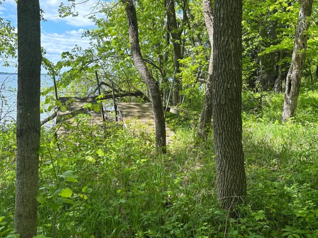 $335,000 | Tbd Tbd Tbd, Walker, MN 56484