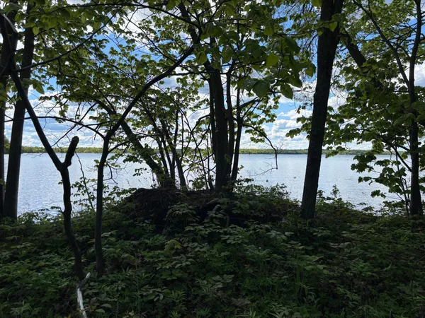 $335,000 | Tbd Tbd Tbd, Walker, MN 56484