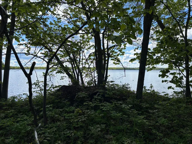 $335,000 | Tbd Tbd Tbd, Walker, MN 56484