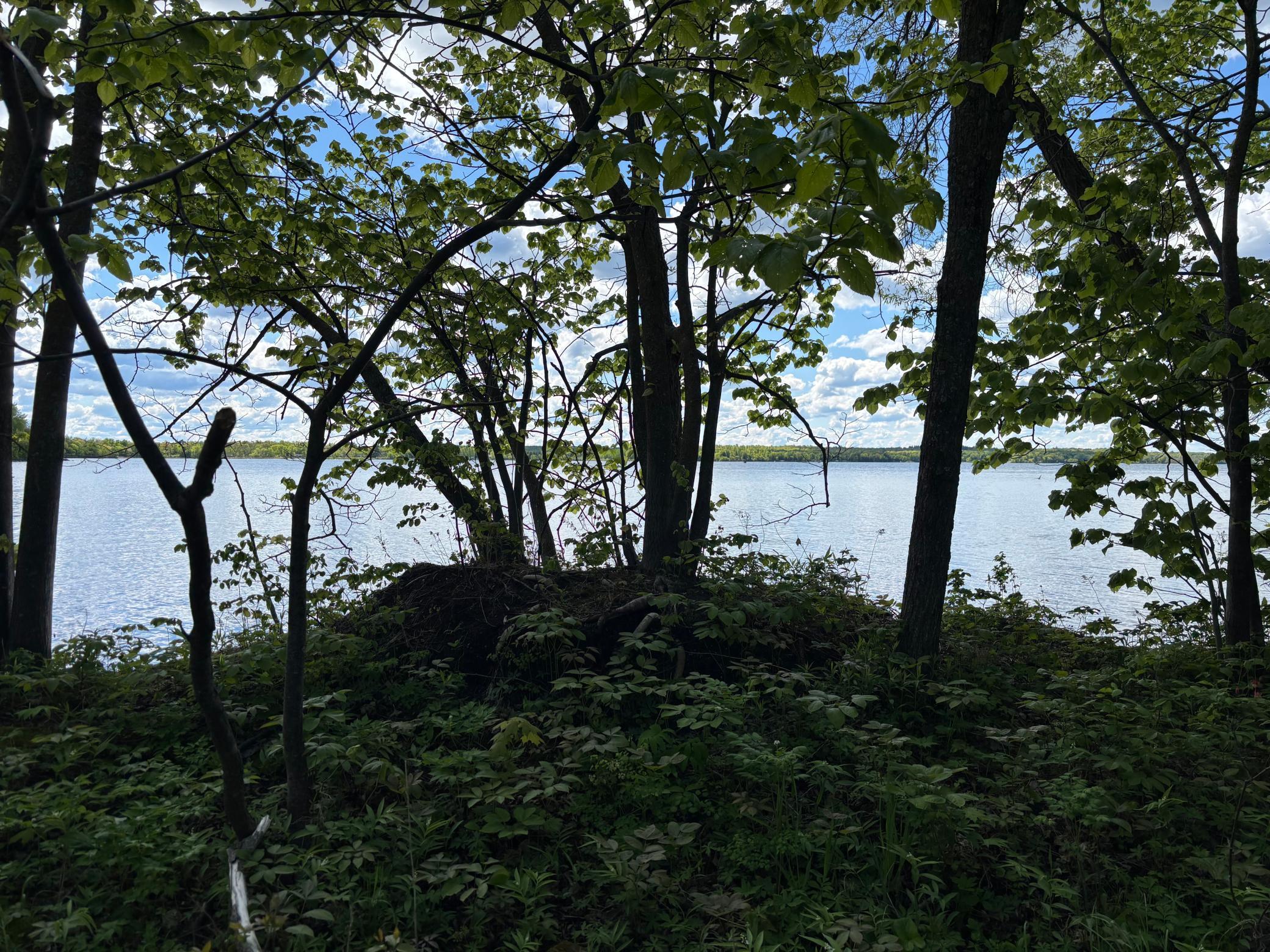 Tbd Tbd Tbd Walker, MN 56484 - Photo 17 of 33