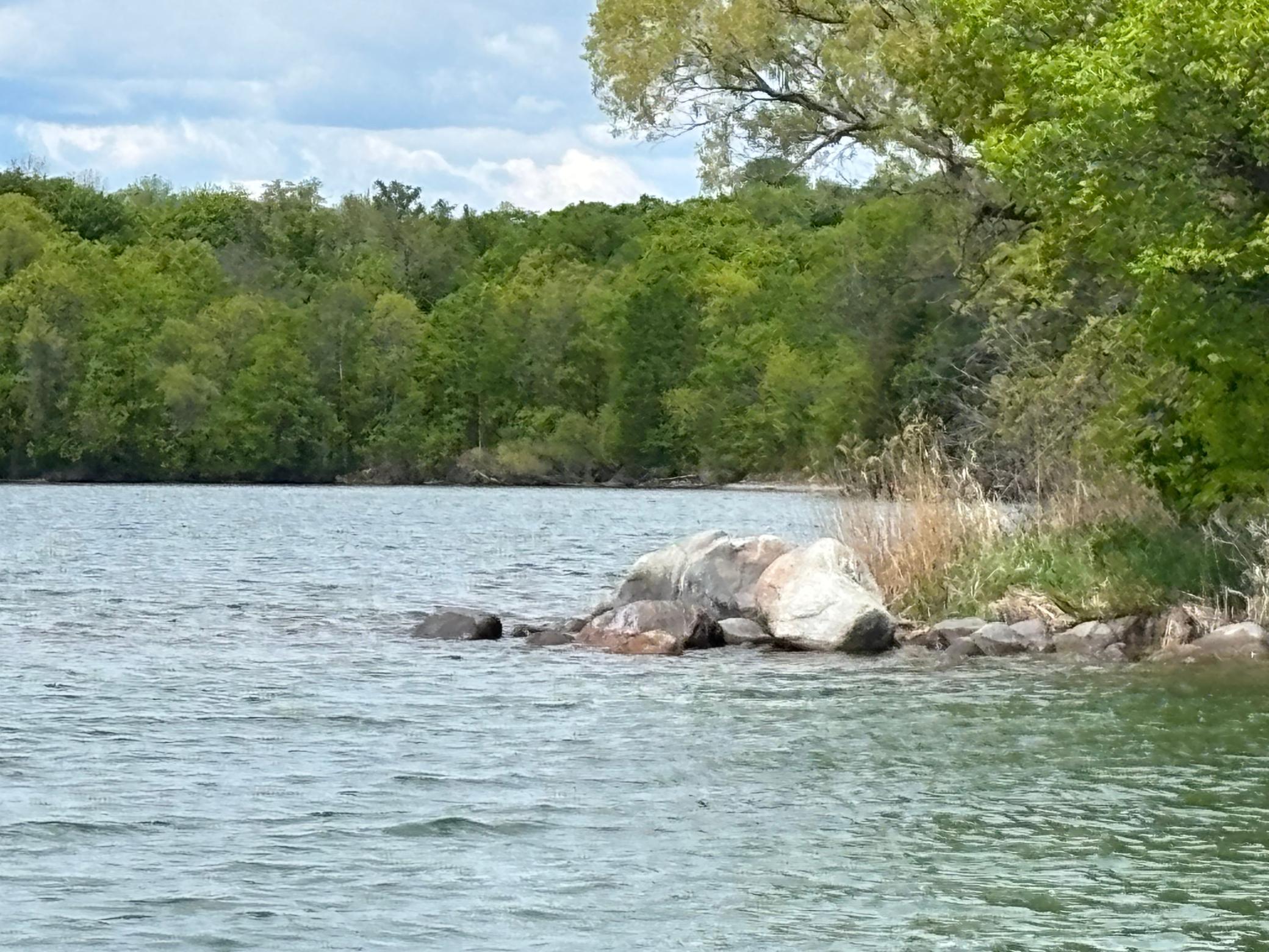 Tbd Tbd Tbd Walker, MN 56484 - Photo 18 of 33