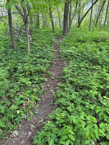 $335,000 | Tbd Tbd Tbd, Walker, MN 56484