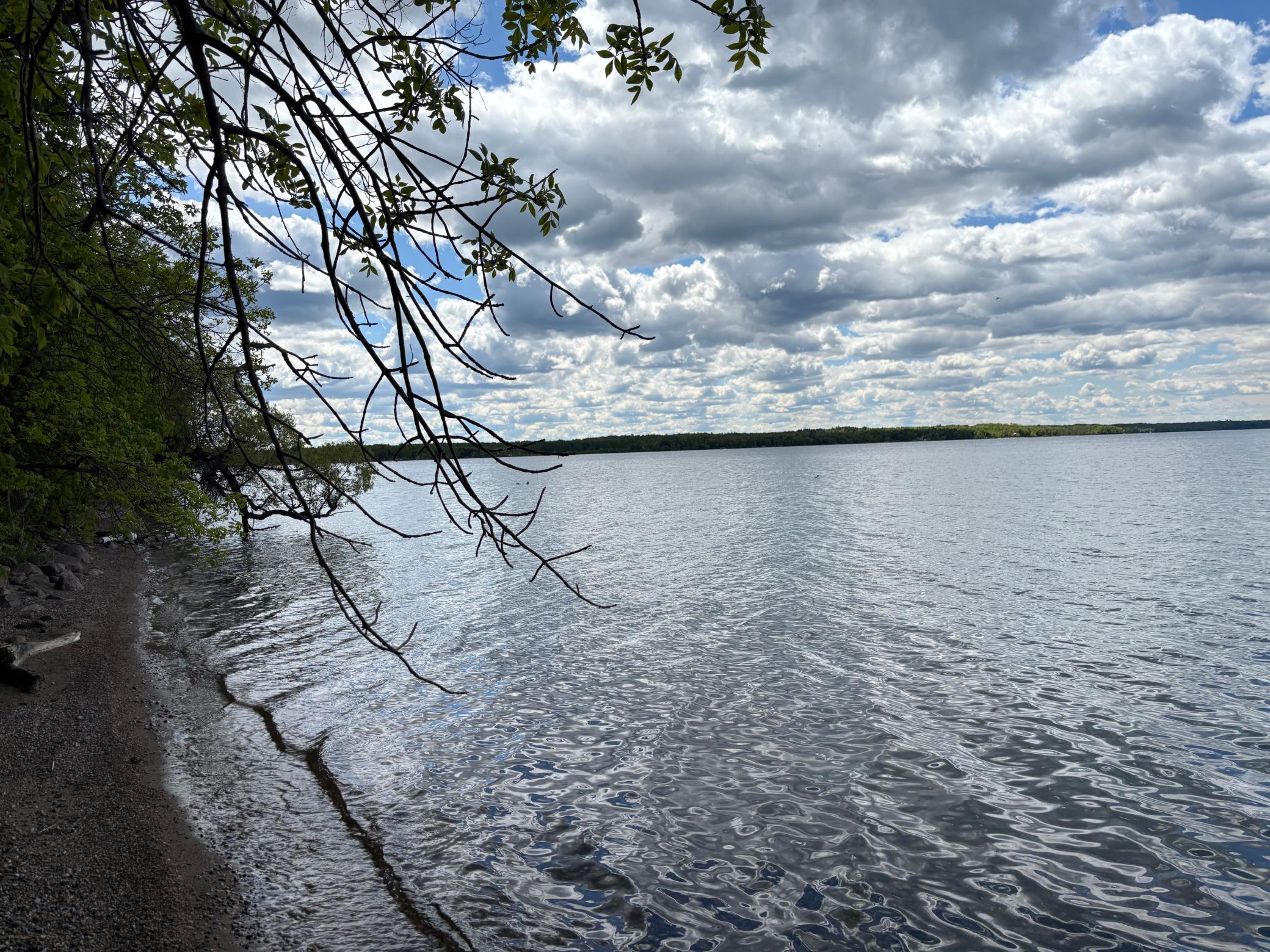 Tbd Tbd Tbd Walker, MN 56484 - Photo 27 of 33