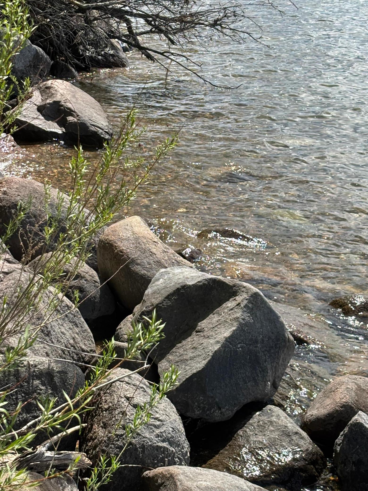 Tbd Tbd Tbd Walker, MN 56484 - Photo 28 of 33