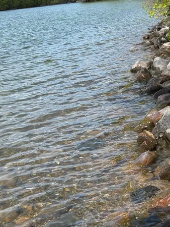 $335,000 | Tbd Tbd Tbd, Walker, MN 56484