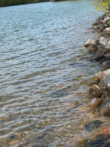 $335,000 | Tbd Tbd Tbd, Walker, MN 56484