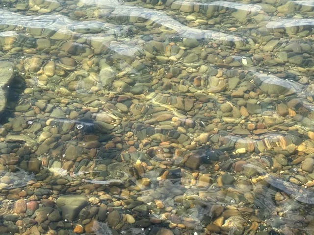 $335,000 | Tbd Tbd Tbd, Walker, MN 56484