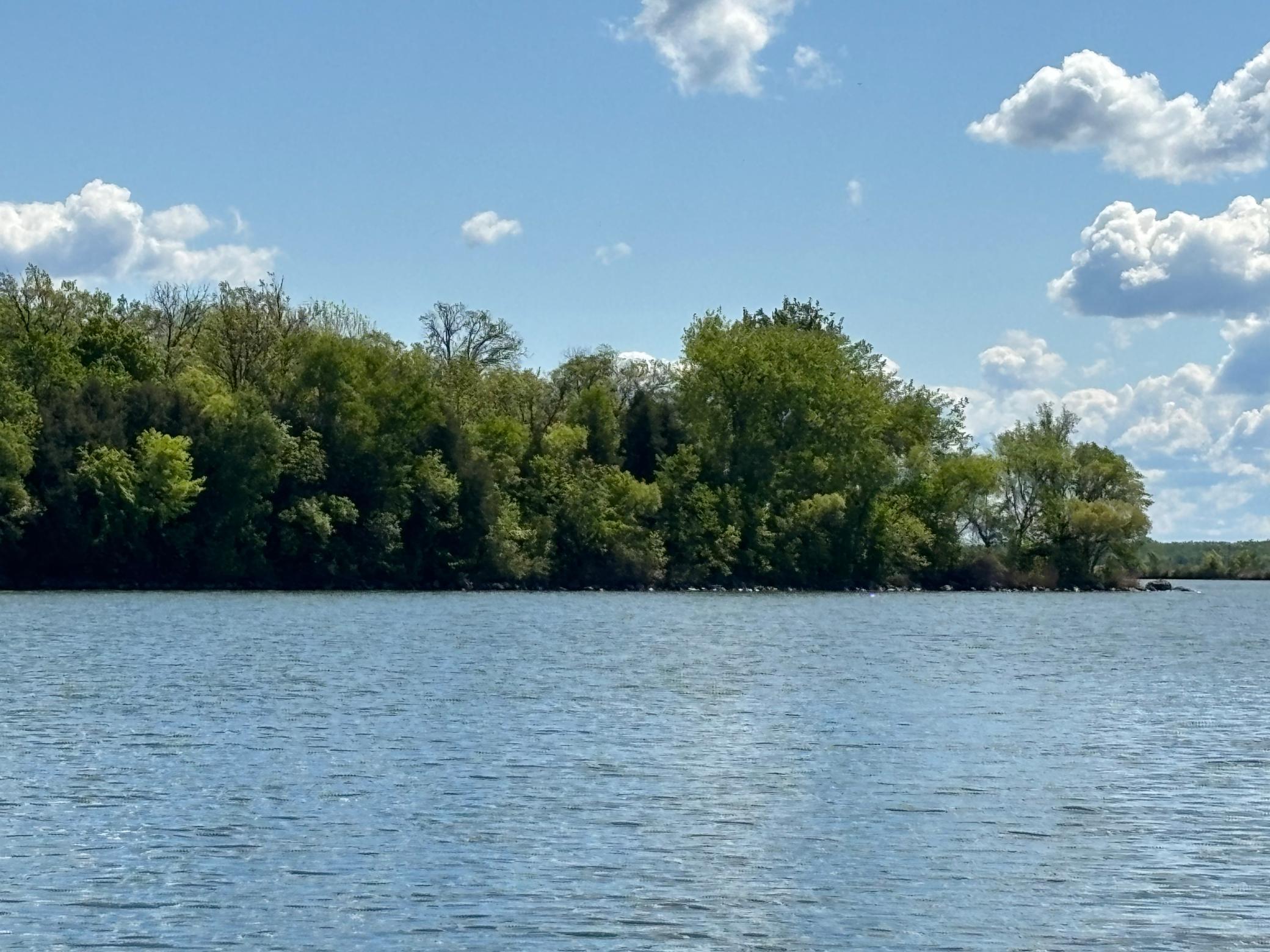 Tbd Tbd Tbd Walker, MN 56484 - Photo 8 of 33