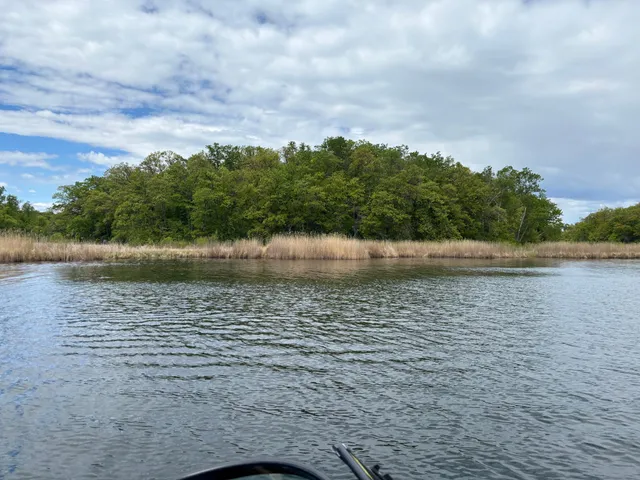 $335,000 | Tbd Tbd Tbd, Walker, MN 56484