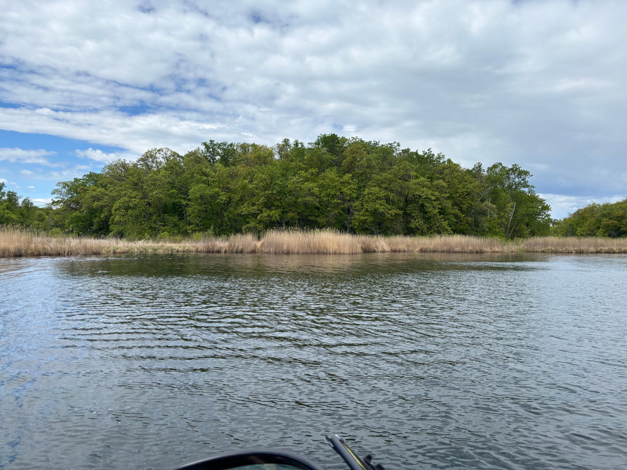 Tbd Tbd Tbd Walker, MN 56484 - Photo 9 of 33