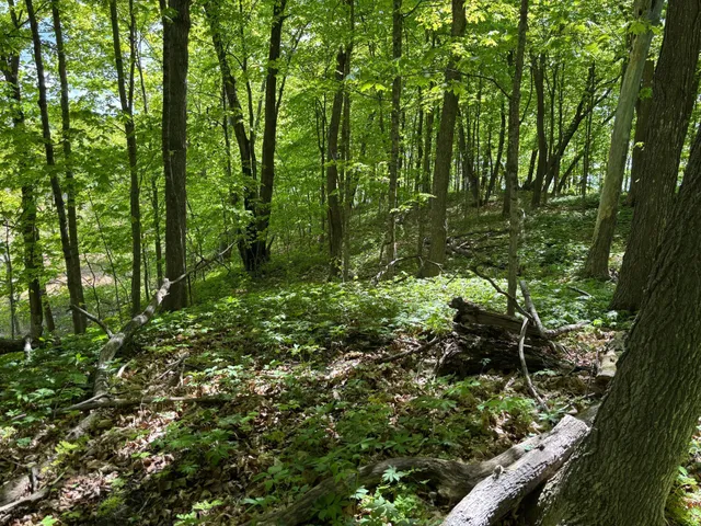 $335,000 | Tbd Tbd Tbd, Walker, MN 56484