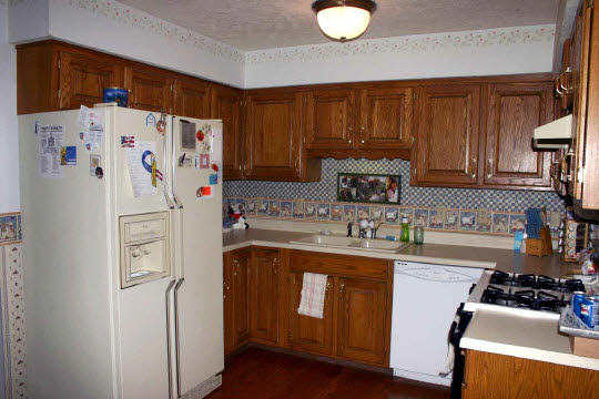 229 Rochester Road Northeast Poplar Grove, IL 61065 - Photo 5 of 6 a kitchen with stainless steel appliances a refrigerator and a sink