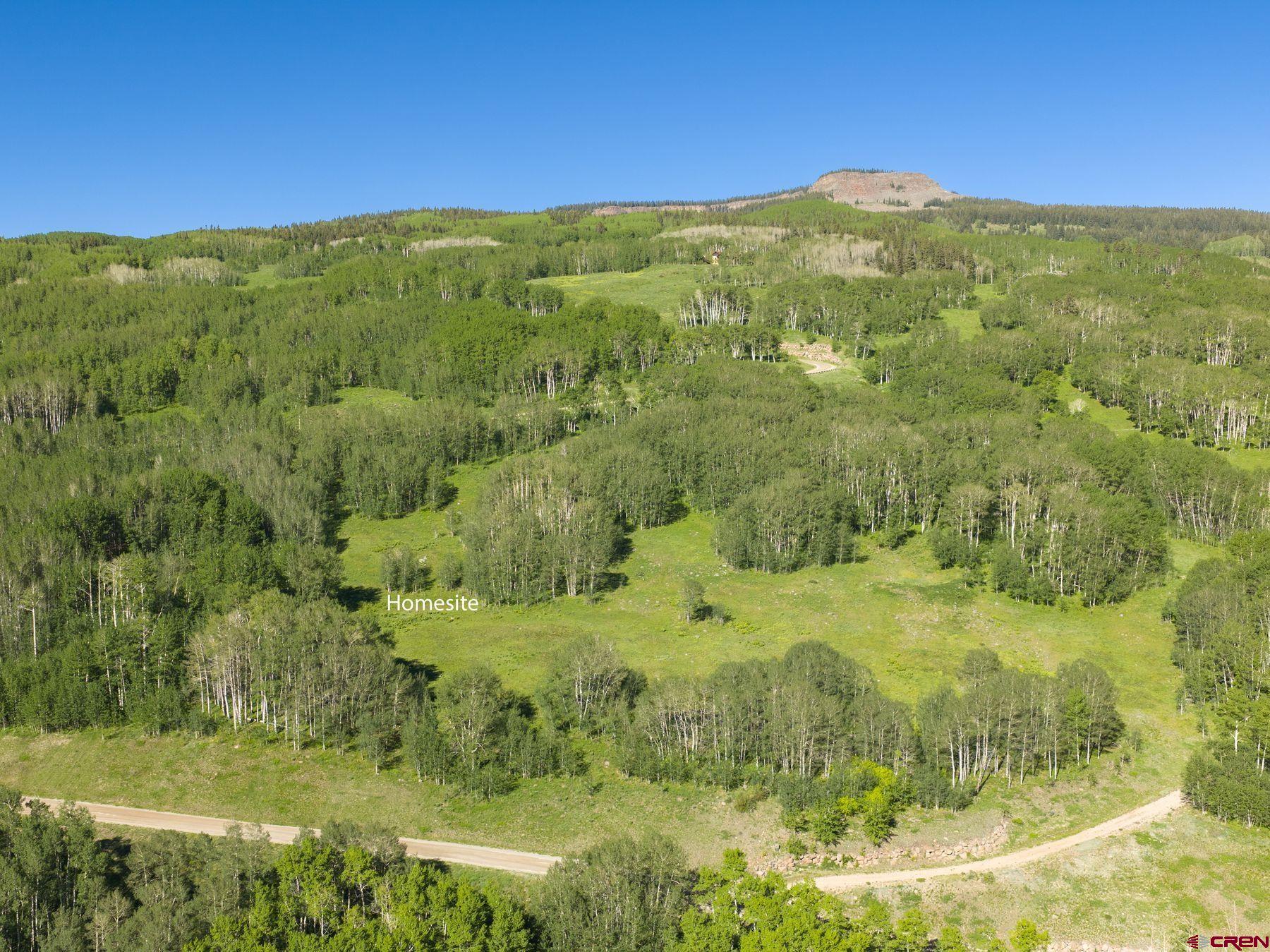 2177 Aspen Mountain Road Almont, CO 81210 - Photo 19 of 20