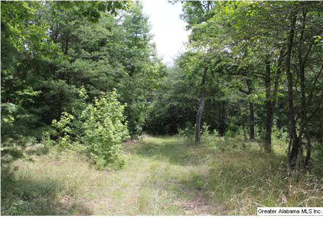 793 County Road, Unit 460 Centre, AL 35960 - Photo 4 of 11