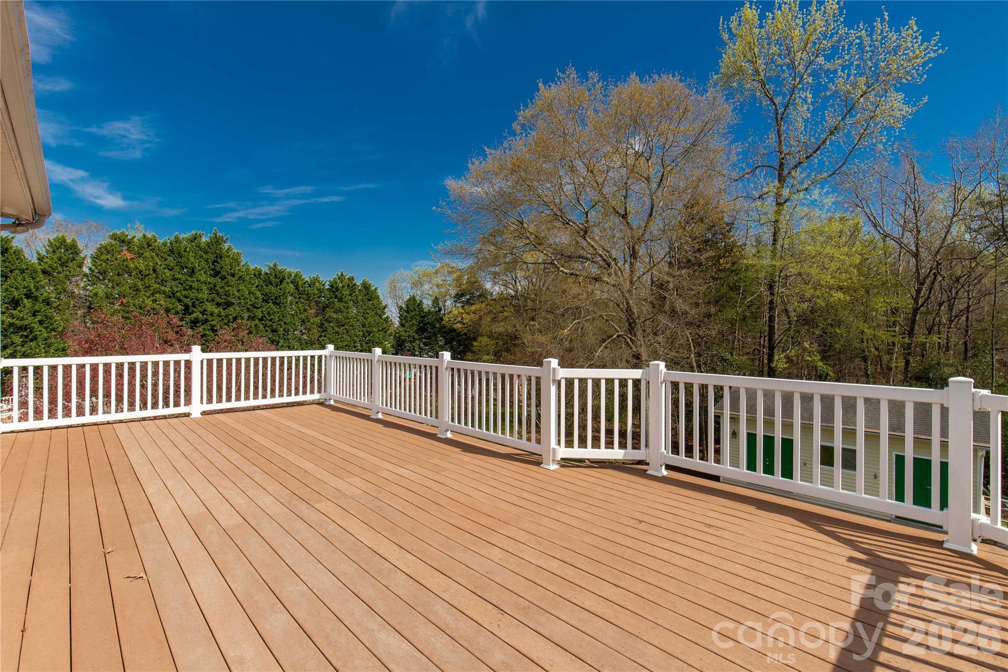 623 East Cheval Drive Fort Mill, SC 29708 - Photo 24 of 47