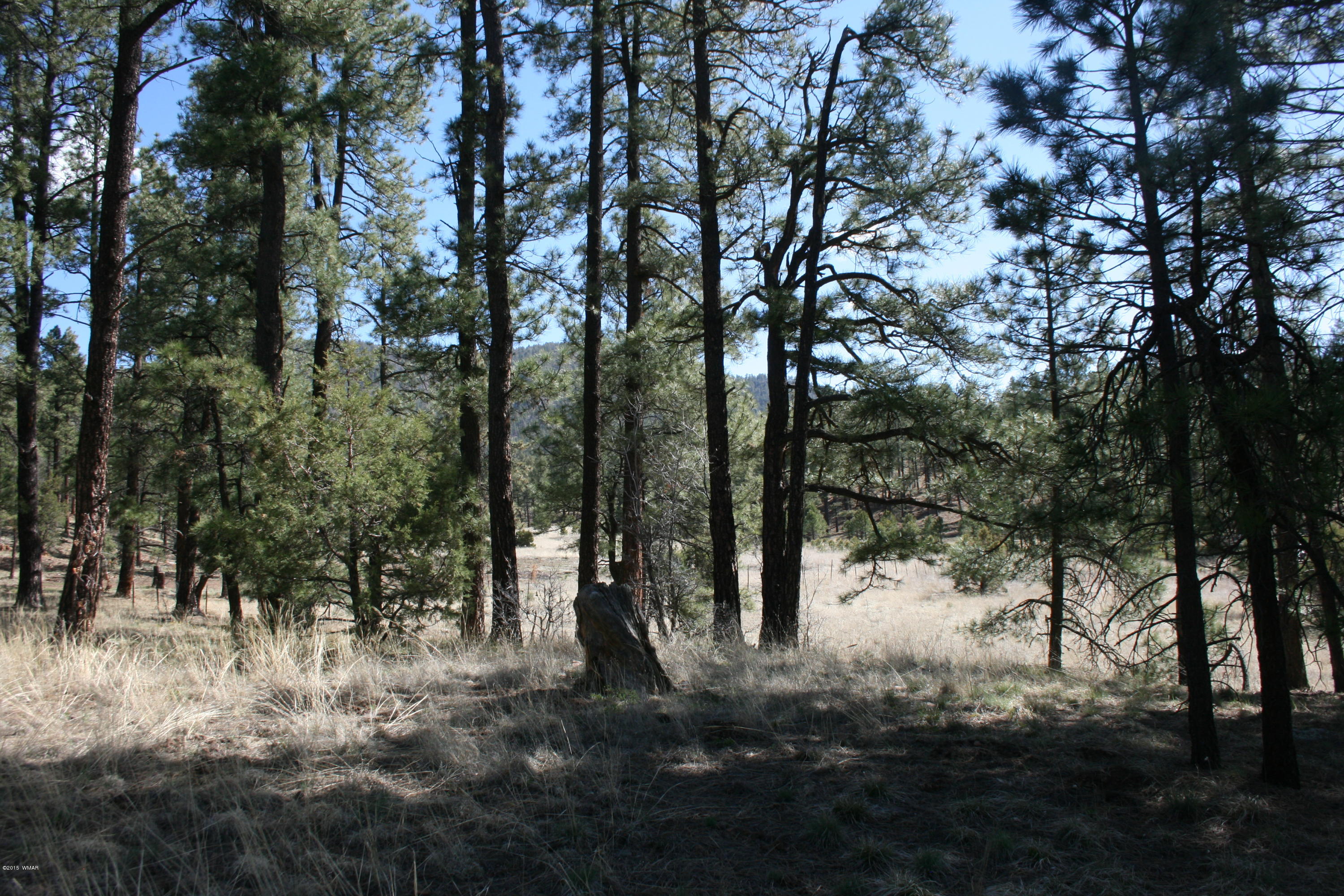 11 B L Z Ranch Road Alpine, AZ 85920 - Photo 11 of 43