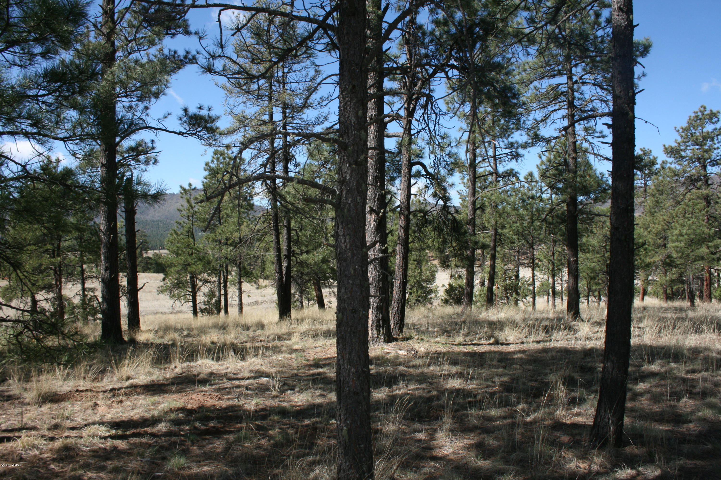 11 B L Z Ranch Road Alpine, AZ 85920 - Photo 13 of 43