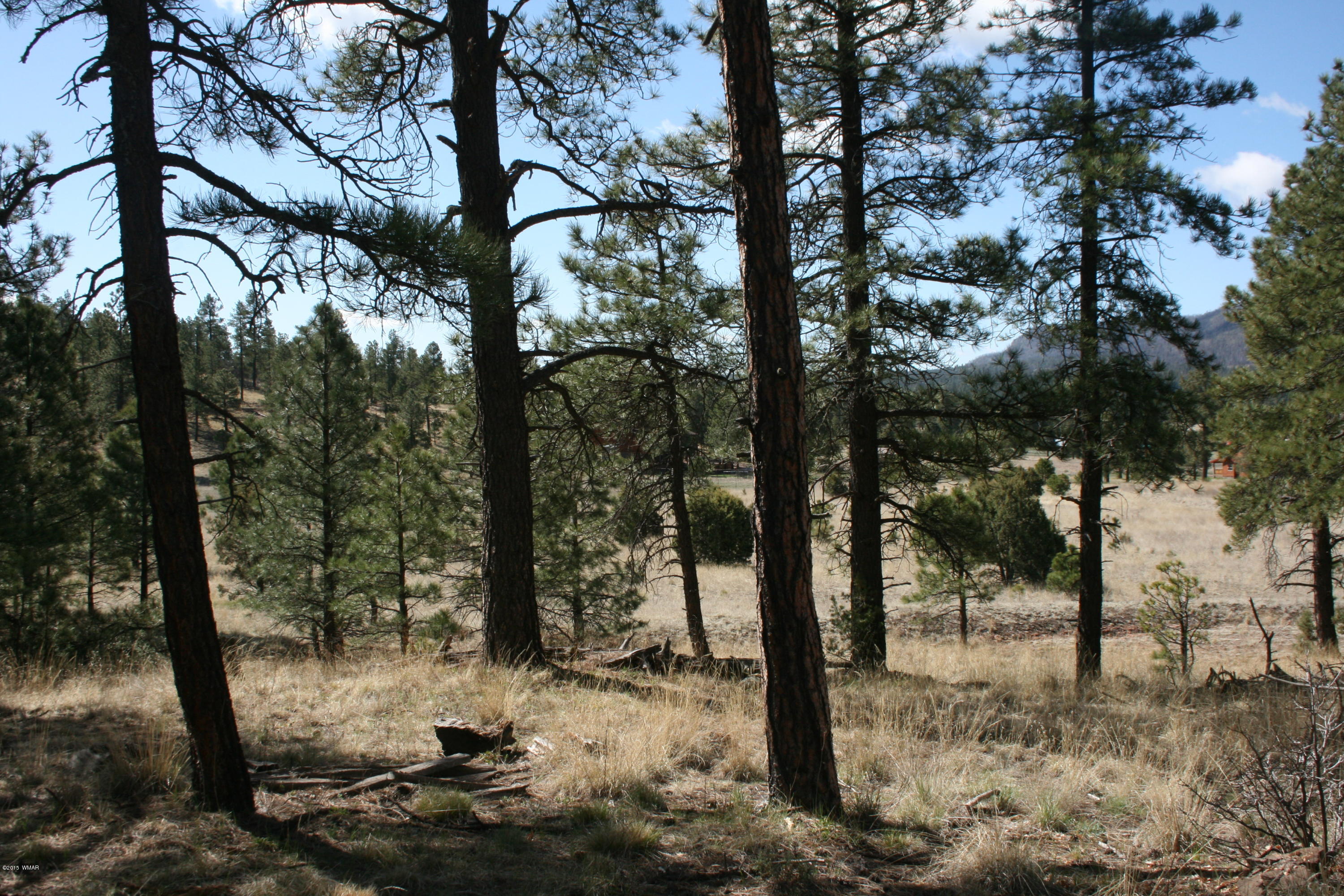 11 B L Z Ranch Road Alpine, AZ 85920 - Photo 15 of 43