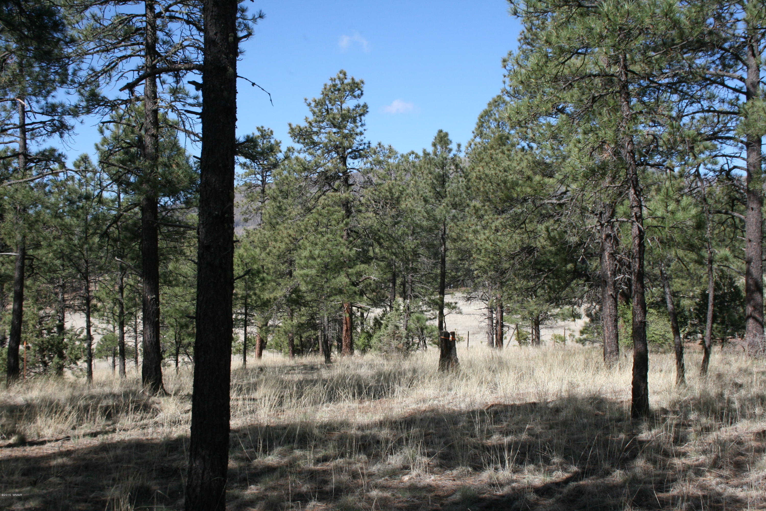 11 B L Z Ranch Road Alpine, AZ 85920 - Photo 16 of 43