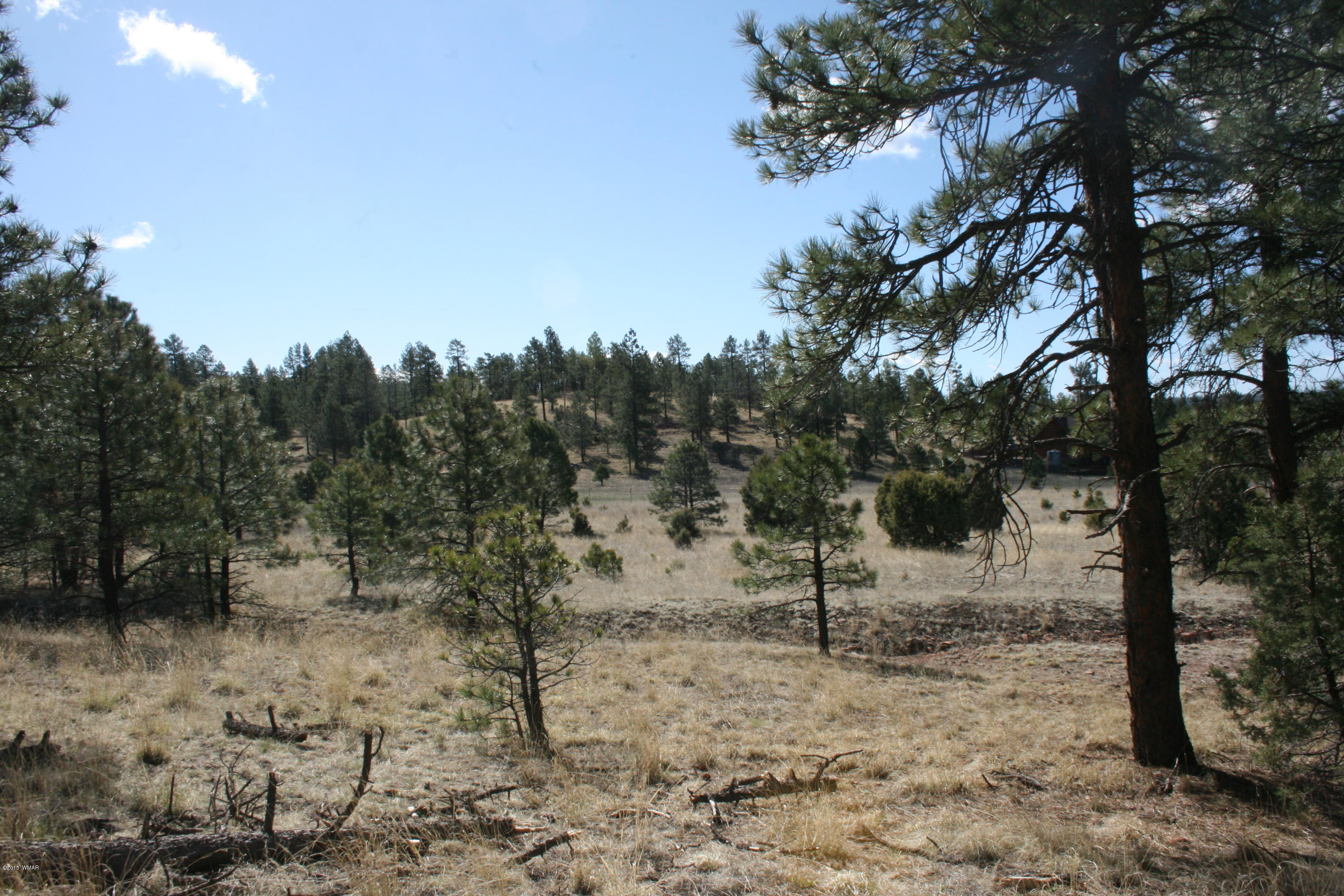 11 B L Z Ranch Road Alpine, AZ 85920 - Photo 17 of 43