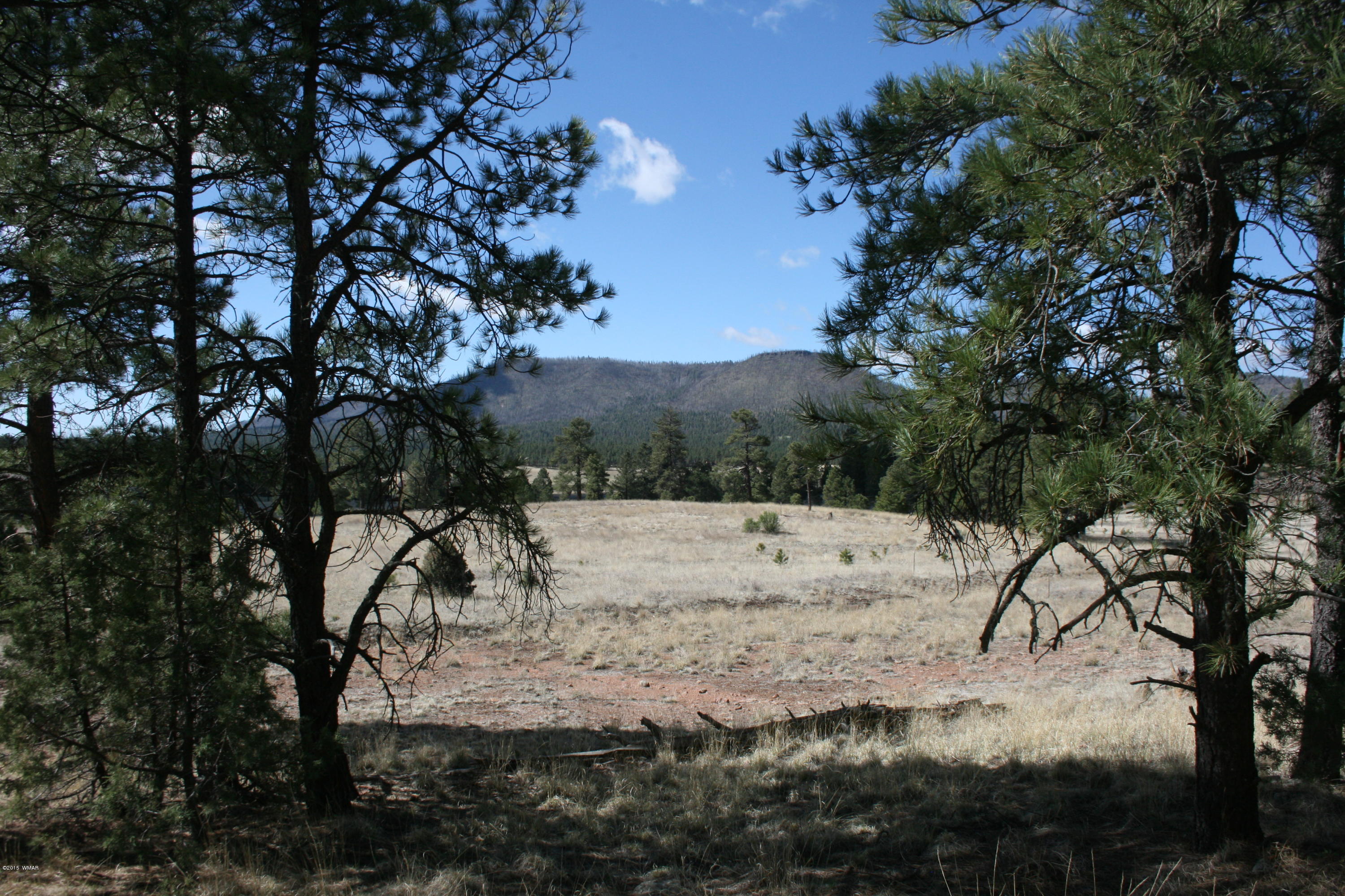 11 B L Z Ranch Road Alpine, AZ 85920 - Photo 18 of 43